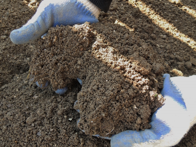 土壌環境は私達の身体の腸内環境に似ている